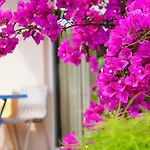 Bed and breakfast Yelken Milas