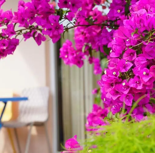 Bed & Breakfast Yelken Milas