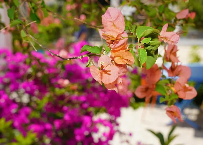 Bed & Breakfast Yelken